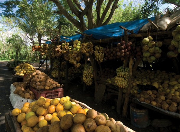 Mercado de frutas tropicales.