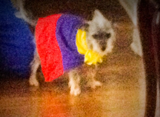 El fan número 1 de la Seleccion Colombiana!!!