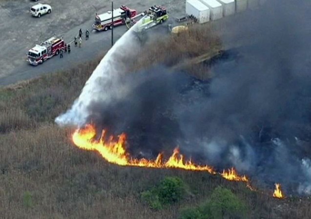 Un incendio forestal se prolonga por varias horas y destruye todo a su paso.