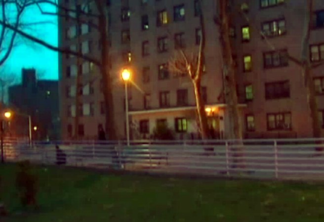 4 DE ABRIL, 2013: Una bisabuela se rebela contra un ladrón que intentó atacarla en Manhattan.