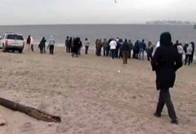 Varios curiosos llegaron para ver de cerca la ballena.