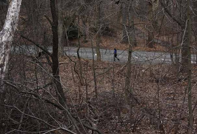 Tan solo en el 2012 se reportaron más de 350 delitos graves en múltiples parques de Nueva York, según datos de la policía.