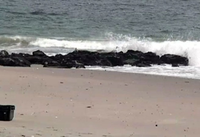 Bañistas de la playa dicen no sentirse incómodos si los ven desnudos.