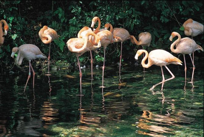 Visitar esta área de la República Dominicana es quizá lo más parecido a ir al Jardín del Edén, debido a lo bien conservado de la naturaleza.
