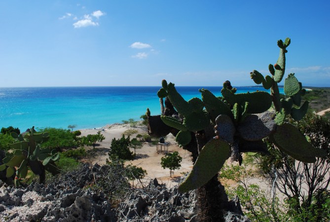 En Barahona los ecosistemas son tan variados, en un área pequeña, que podrás ver vegetación desértica cerca del mar.