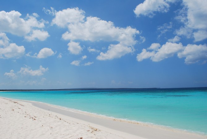 Ven y comprueba por qué Bahía de las Águila es considerada una de las playas más hermosas del mundo.