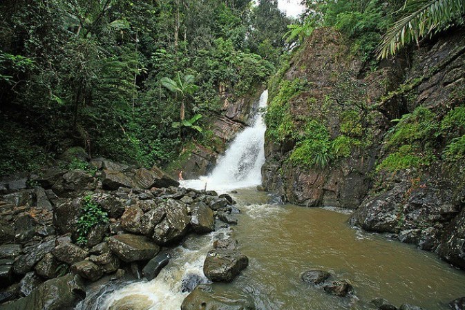 5. El Yunque. Una de las excursiones que no puede faltar al visitar Puerto Rico es a esta zona localizada en las montañas Luquillo.