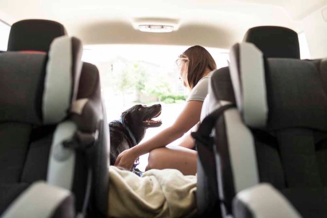 Duke: el perro con cáncer que inundó las redes con lágrimas.