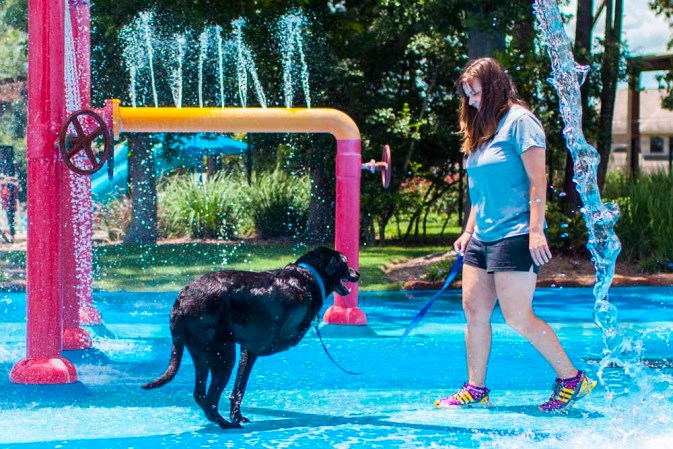Duke: el perro con cáncer que inundó las redes con lágrimas.