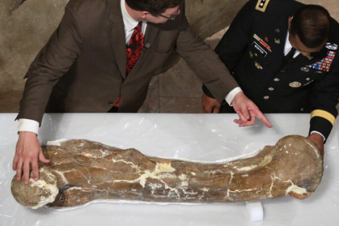 Esta muestra es en realidad un aperitivo de la mayor renovación del Salón de Fósiles y Dinosaurios del museo desde que éste abrió en 1911, unas obras que se espera duren cinco años después de las cuales tendrá el esqueleto del tiranosaurio como pieza central, aunque también incluirá fósiles de rocas, plantas y otros animales.