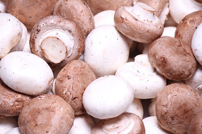 Champiñones