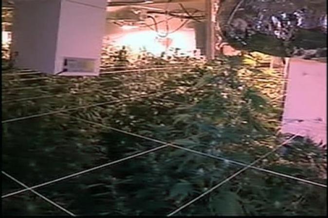 Se dice que cada uno de los cinco pisos del edificio era utilizado para el proceso y cultivo de las plantas.