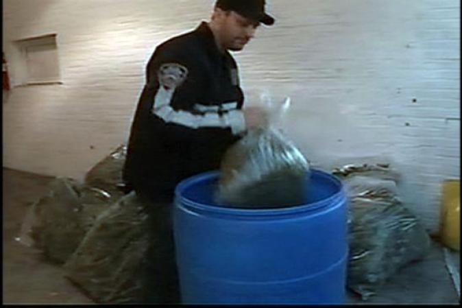 Alrededor de 1,550 libras de ésta droga fueron encontradas por la policía en dichas instalaciones.