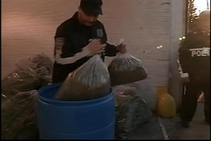 Agentes siguen sacando bolsas tras bolsas de un edificio en el Bronx utilizado para el procesamiento de marihuana.