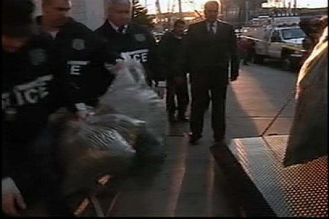 Tres personas entre las edades de 23 y 25 años fueron arrestadas por complicidad al cultivo de dicha plantación.