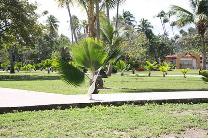 Luquillo, Puerto Rico, la capital del sol.