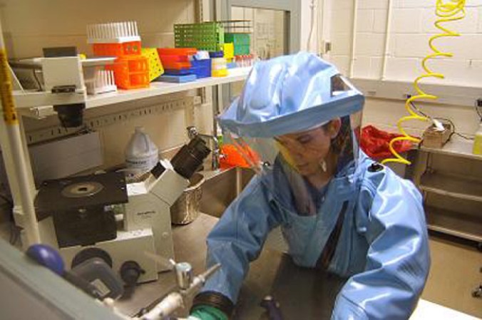 El virus de ébola tiene una tasa de mortalidad de entre 50 y 90% de los casos