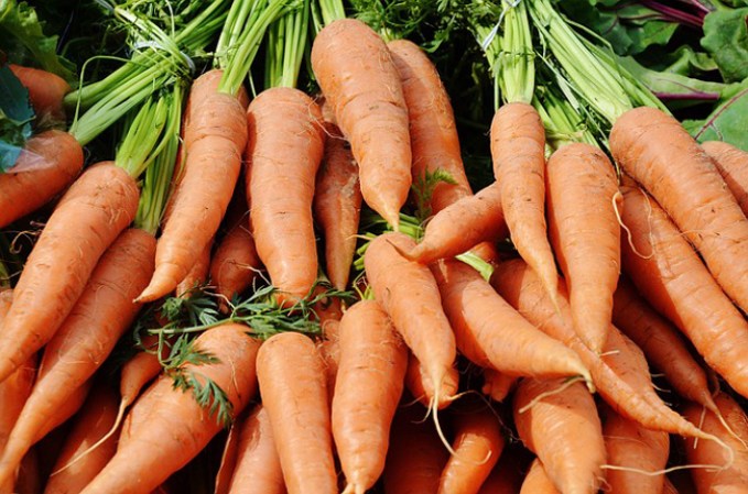 Zanahorias