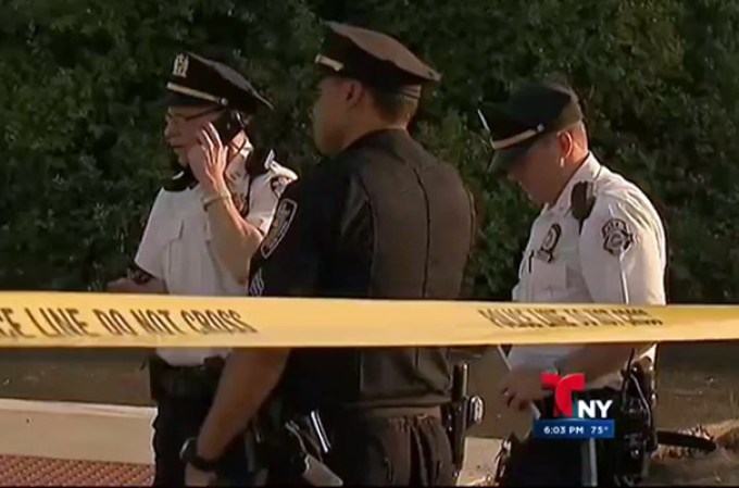 Una joven dominicana de 20 años fue perseguida y acuchillada brutalmente hasta morir en una autopista de Nueva York, presuntamente por su novio.