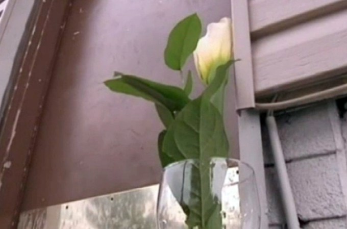 Una flor blanca fue puesta en las afueras de la casa de la dominicana asesinada en su memoria.