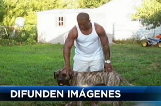 Las autoridades dan a conocer las primeras imágenes de un canino que mordió mortalmente a un adolescente en Paterson.