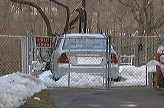 Un niño muere trágicamente tras ser atacado por un perro Bull Mastiff en Paterson, Nueva Jersey.