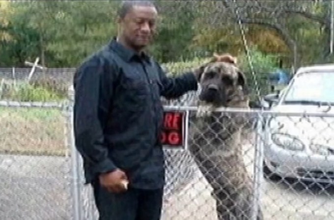 Tanto el otro joven, cuyo nombre no ha sido dado a conocer, como el dueño del perro, identificado como Paul Clarke, resultaron con mordidas.