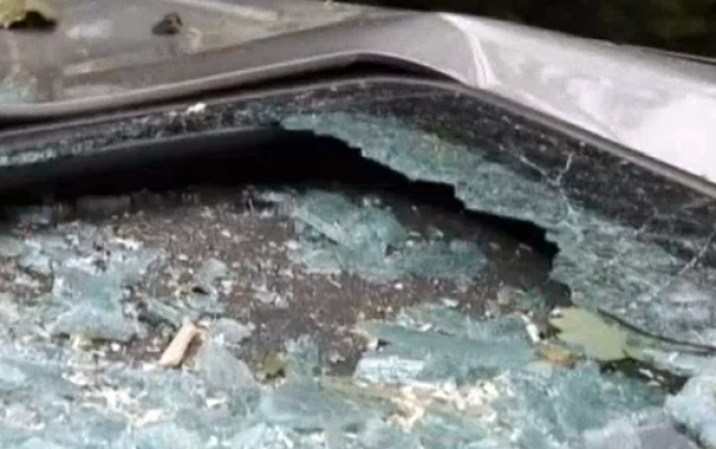 Aunque no se reportó ningún tornado, las condiciones climáticas arrasaron con varios árboles y tendido eléctrico.