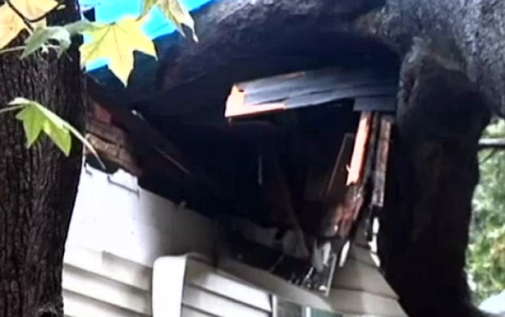 La alerta de tornado cumple las amenazas emitidas por las autoridades en varias zonas del área tri-estatal.