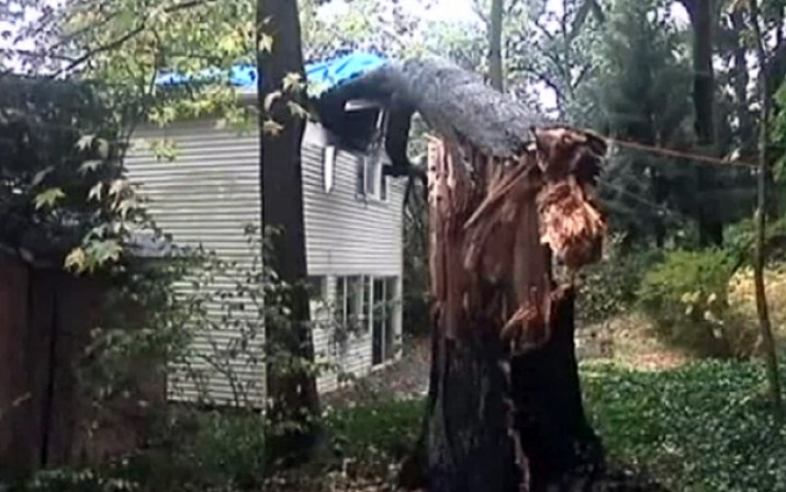 Esta imagen muestra como un árbol destrozó parte de esta vivienda en Nueva Jersey.
