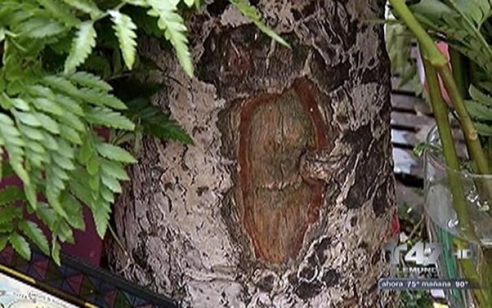 Una segunda formación de la imagen fue vista un poco más abajo del tronco del árbol.