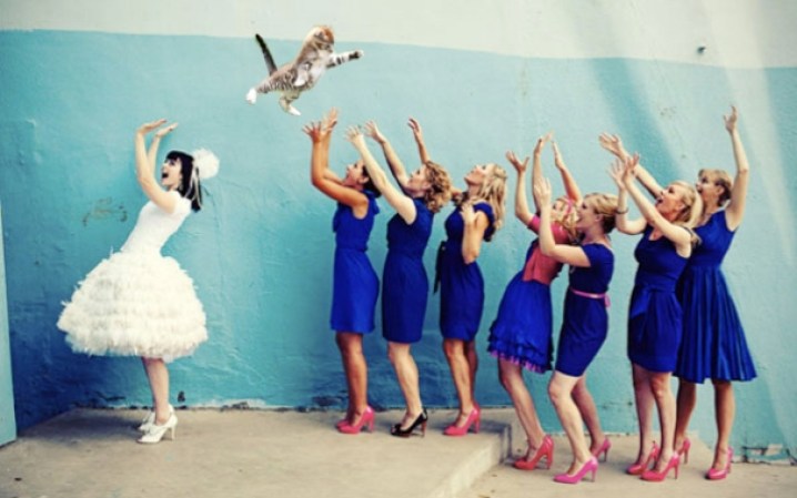 La ocurrencia se ha convertido en tendencia. Ahora las imágenes de los gatos voladores divierten a los usuarios de las redes sociales.