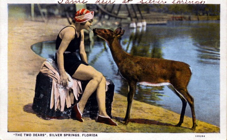 Esta postal esta simplemente titulada "The two dears", haciendo un juego con la palabra "dear". Se tomó en Silver Springs alla por la decada de 1920.