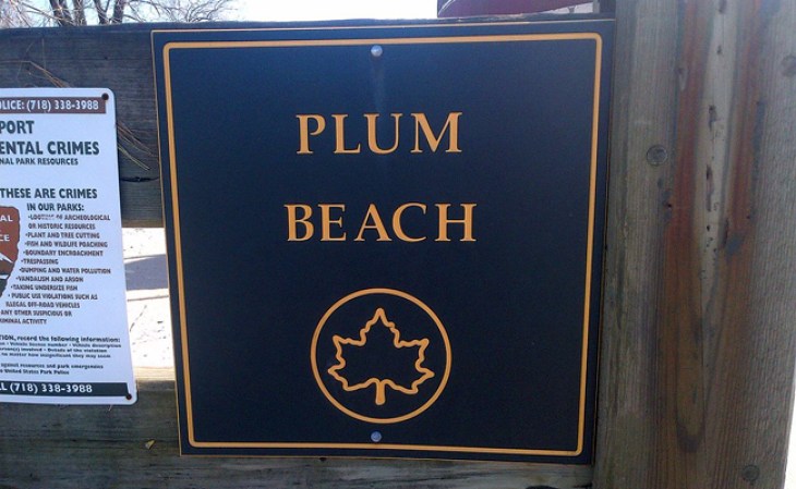 Plumb Beach: Está localizada Brooklyn. Entre los meses de mayo y junio se pueden notar varios cangrejos cacerola, ya que en esta época salen hasta la playa para aparearse.