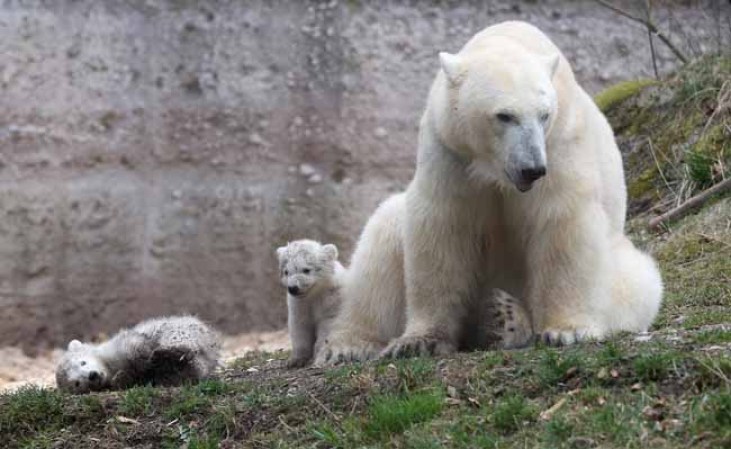 Los inquilinos más tiernos del zoológico.
