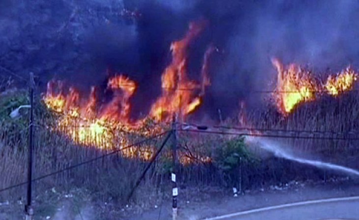 Un incendio forestal se prolonga por varias horas y destruye todo a su paso.
