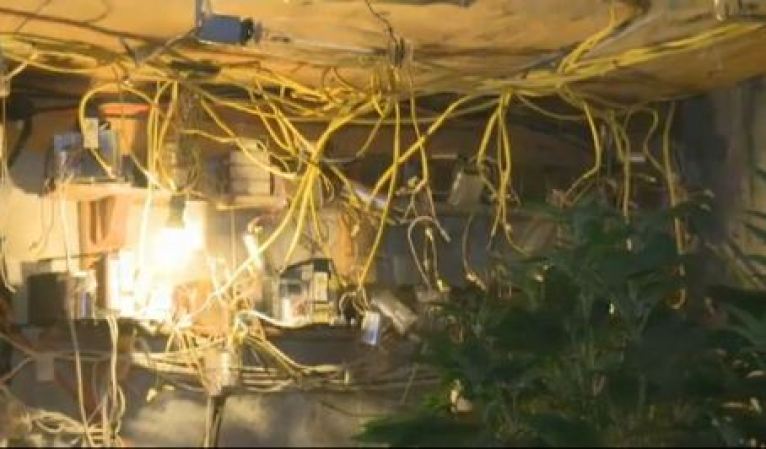 El descubrimiento fue hecho el pasado 23 de enero en la casa ubicada en 30121 Southwest 147th Court,