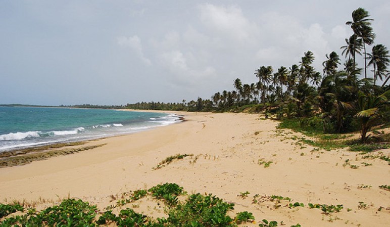 Playa en Piñones: playa salvaje y rocosa, muy cerca de San Juan. Es una de las preferidas por los surfistas, ya que la corriente del agua es fuerte.