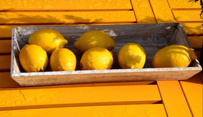 Mantenlos en el refrigerador en una bolsa de plástico cerrada.