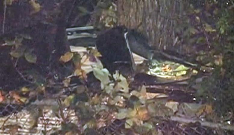 Un choque de auto en el Southern State Parkway deja a cuatro personas muertas.