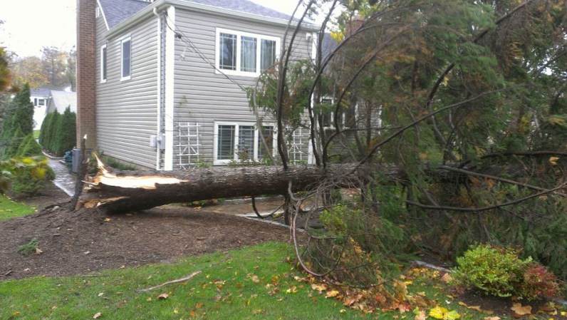 Mi casa, se cayó un árbol enfrente de mi casa. Suerte que no se cayó encima de mi casa en la habitación dónde dormía mi bebé. <br /><br />¡Haz clic aquí para mandar tus fotos de Sandy