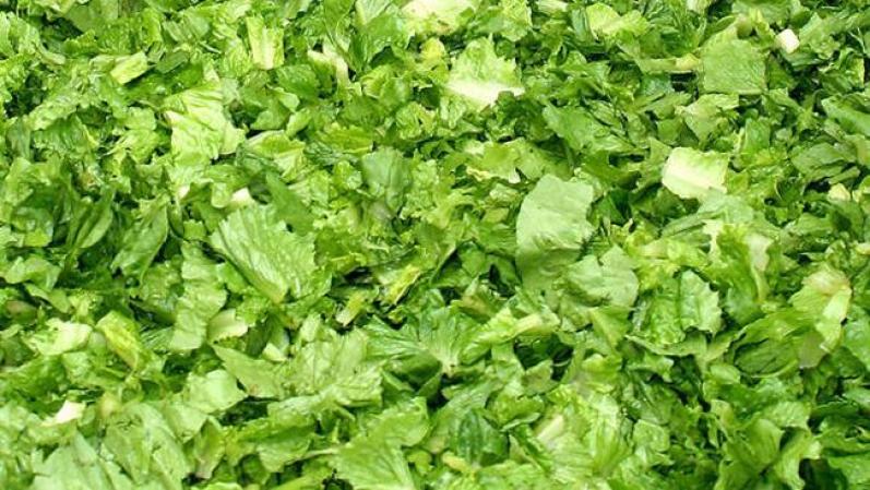 Coma ensaladas, la lechuga contiene hierro y magnesio, que ayudan a quemar el exceso de grasa. Además contiene mucha agua.