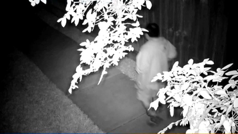 Se logró identificar que el sospechoso hace sus travesuras o muy tarde en la noche, o muy temprano en la madrugada.