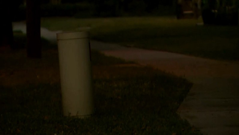 Los vecinos, acostumbrados a pasear sus perros y recoger el resultado de sus necesidades, están furiosos con la actitud del defecador