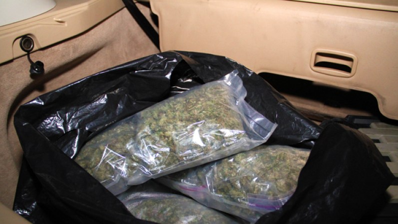 Encontraron marihuana lista para vender.