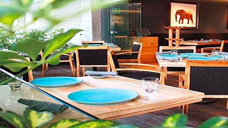 El Restaurante Kaah Siis busca interpretar la gastronomía a partir de la infinita gama de productos que el campo mexicano y sus productores ofrecen. Schiller No. 331 esquina Presidente Masaryk. Promedio $55 por persona.