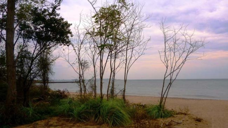 New Dorp Beach: Esta playa está ubicada al sur de Staten Island. En esta localidad se firmó el primer acuerdo europeo del pueblo de New Dorp, en el 1671.