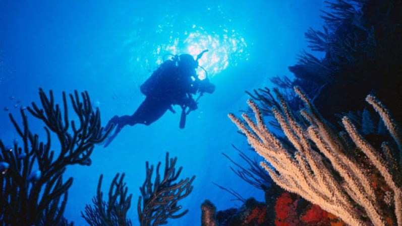 Te invitamos a recorrer en fotografías la hermosa belleza de "La isla del Encanto". En la imagen, la Pared Negra en La Parquera, lugar favorito para bucear.