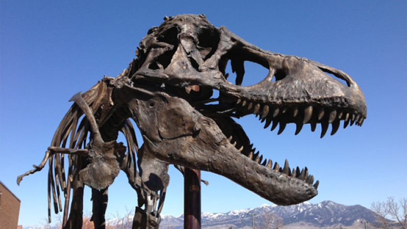 Una réplica en bronce del T. Rex.