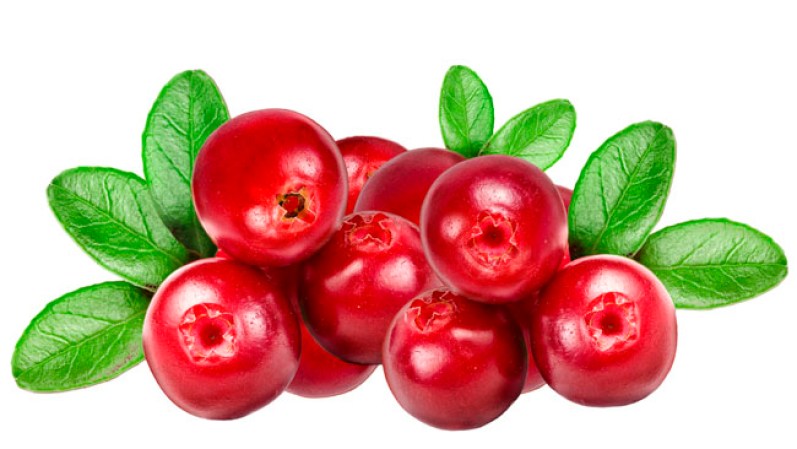 Arándanos. Hasta 13 pesticidas diferentes se pueden distinguir en una sola muestra.